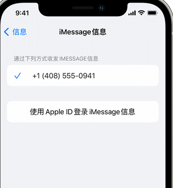 铁东apple维修iPhone上无法正常发送iMessage信息 