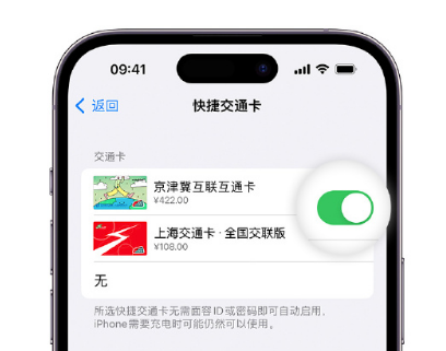 铁东apple维修点分享iPhone上更换Apple Pay快捷交通卡手绘卡面 