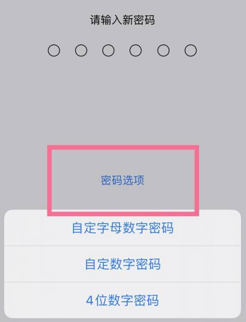 铁东苹果14维修分享iPhone 14plus设置密码的方法 