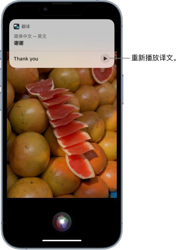 铁东苹果14维修分享 iPhone 14 机型中使用 Siri：了解 Siri 能帮你做什么 