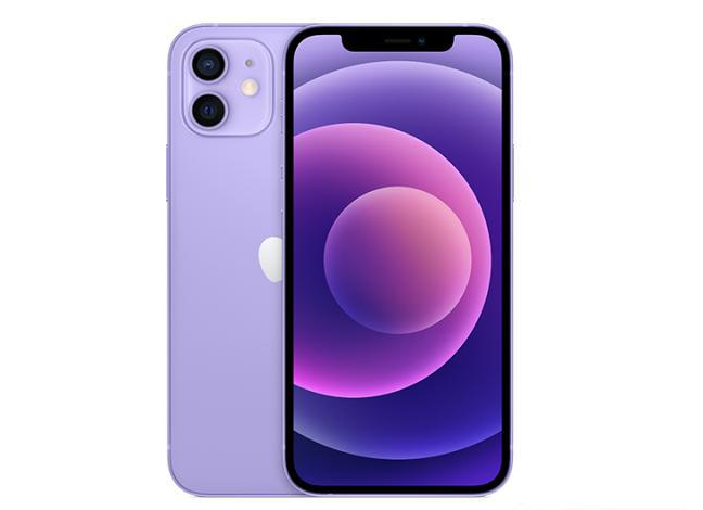 铁东苹果手机维修分享现阶段要不要入手紫色版iPhone12 